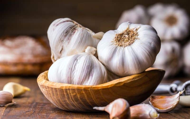 garlic toothache home remedies