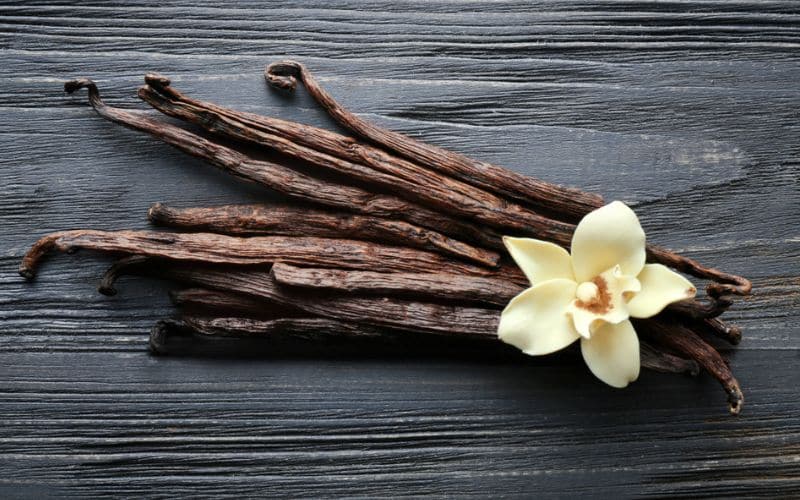 vanilla sticks and flower home remedy for toothache
